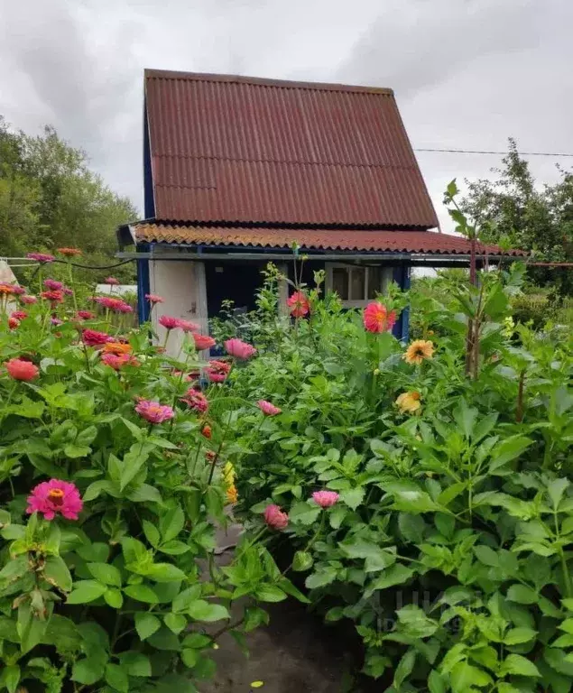 Дом в Вологодская область, Вологда Парус садоводческое товарищество, ... - Фото 1