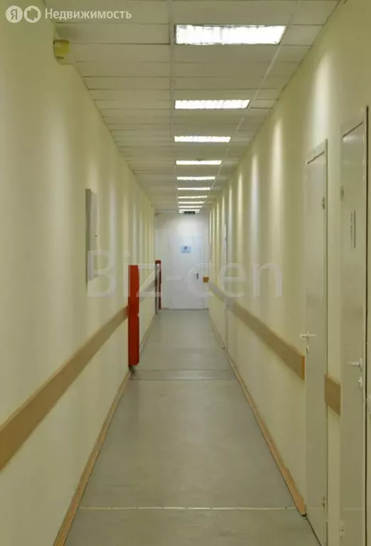 Офис (228.9 м) - Фото 1