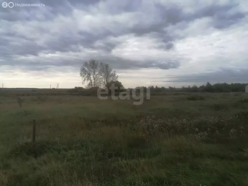 участок в исетский район, деревня пастухова, центральная улица (27.16 . - Фото 0