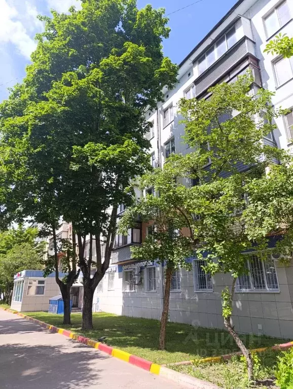 3-к кв. Московская область, Электроугли Богородский городской округ, ... - Фото 2