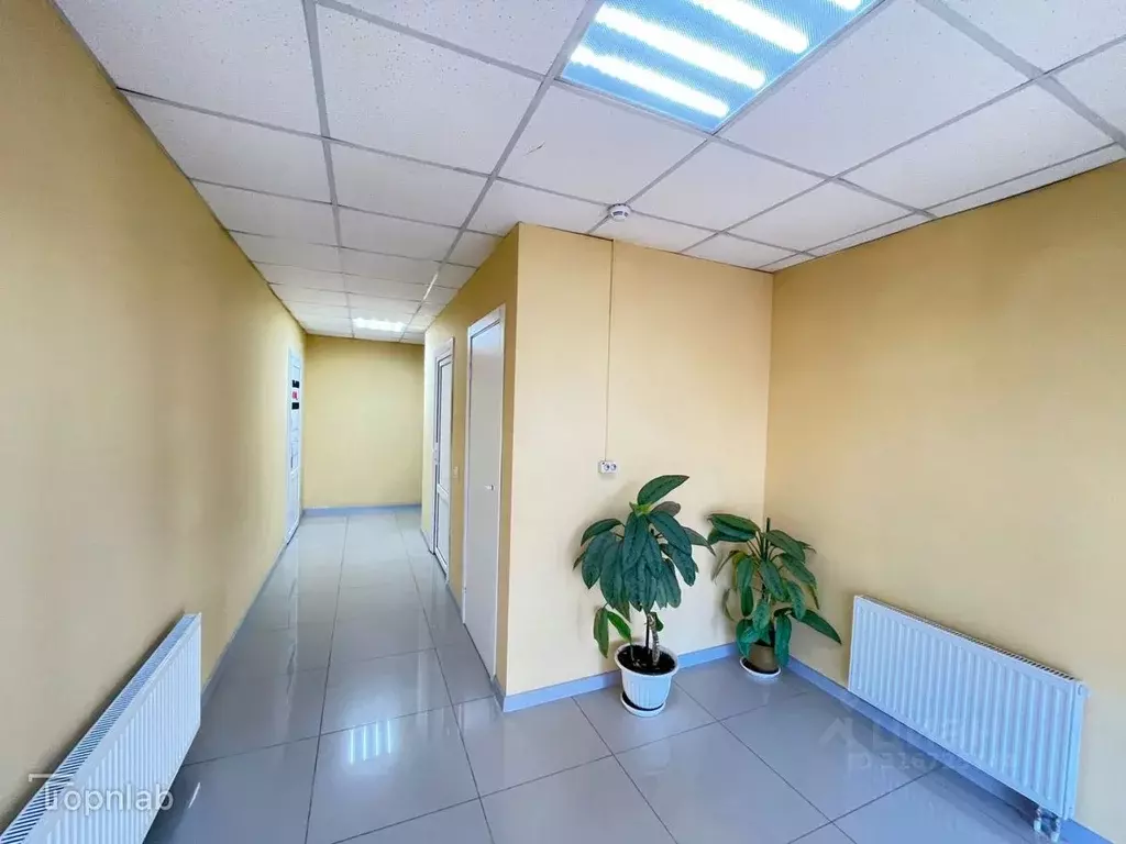 Торговая площадь в Краснодарский край, Краснодар Пашковский жилмассив, ... - Фото 1