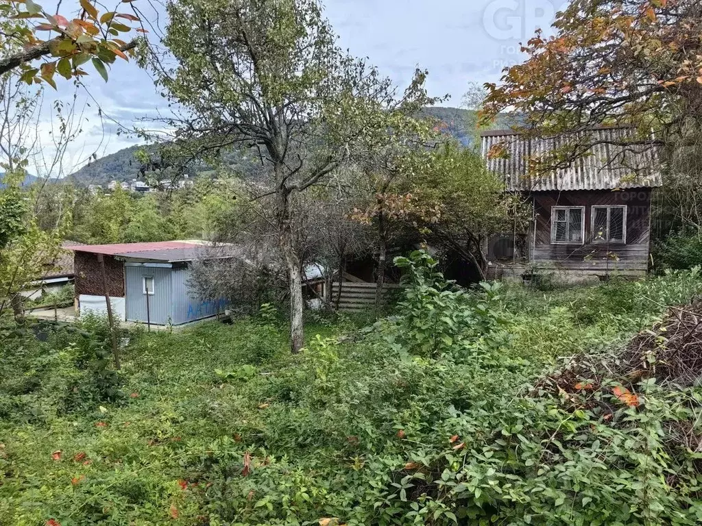 Участок в Краснодарский край, Сочи Вишневый пер. (6.0 сот.) - Фото 1