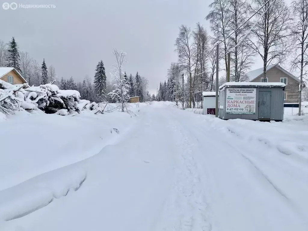 Участок в Архангельская область, Приморский муниципальный округ, ... - Фото 1