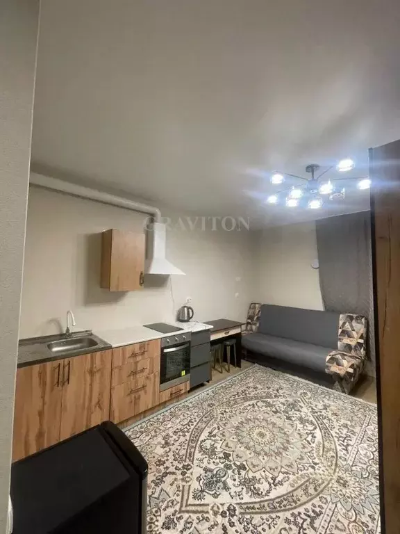 Студия Алтай, Майминский район, с. Майма Алтайская ул., 2Ж (24.0 м) - Фото 1