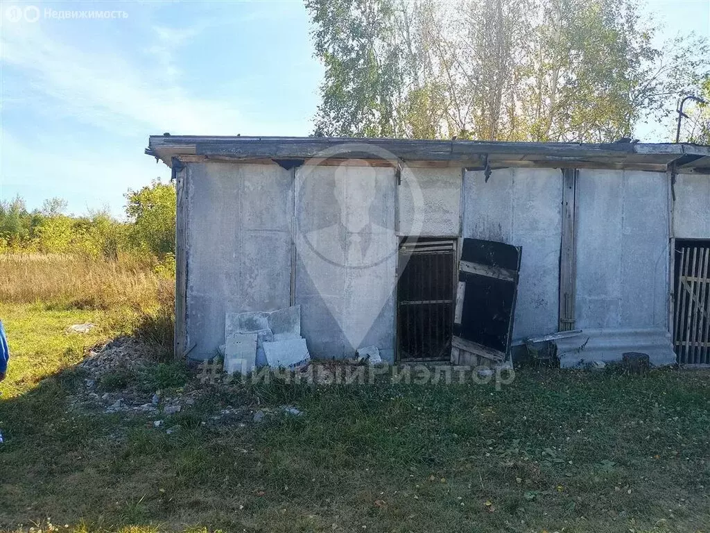 Участок в Рязанская область, городской округ Скопин, деревня Ивановка, ... - Фото 0