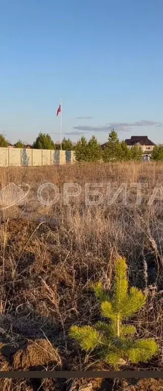 Участок 6,5 сот. (ИЖС) - Фото 1