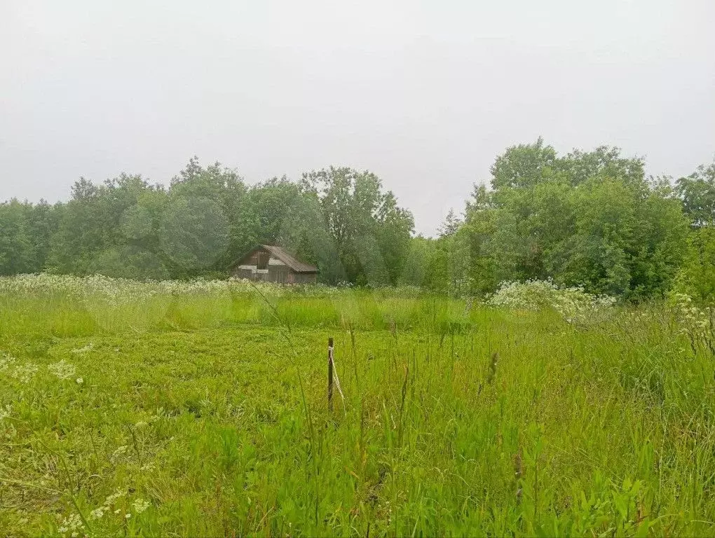 Участок 10 сот. (ИЖС) - Фото 1