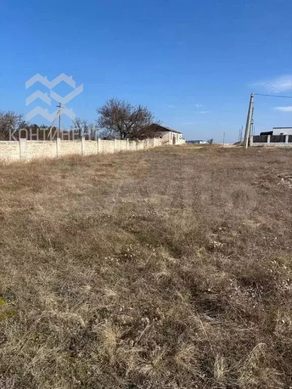 Участок в Крым, Черноморский район, с. Новосельское, Дружба СНТ ул. ... - Фото 1