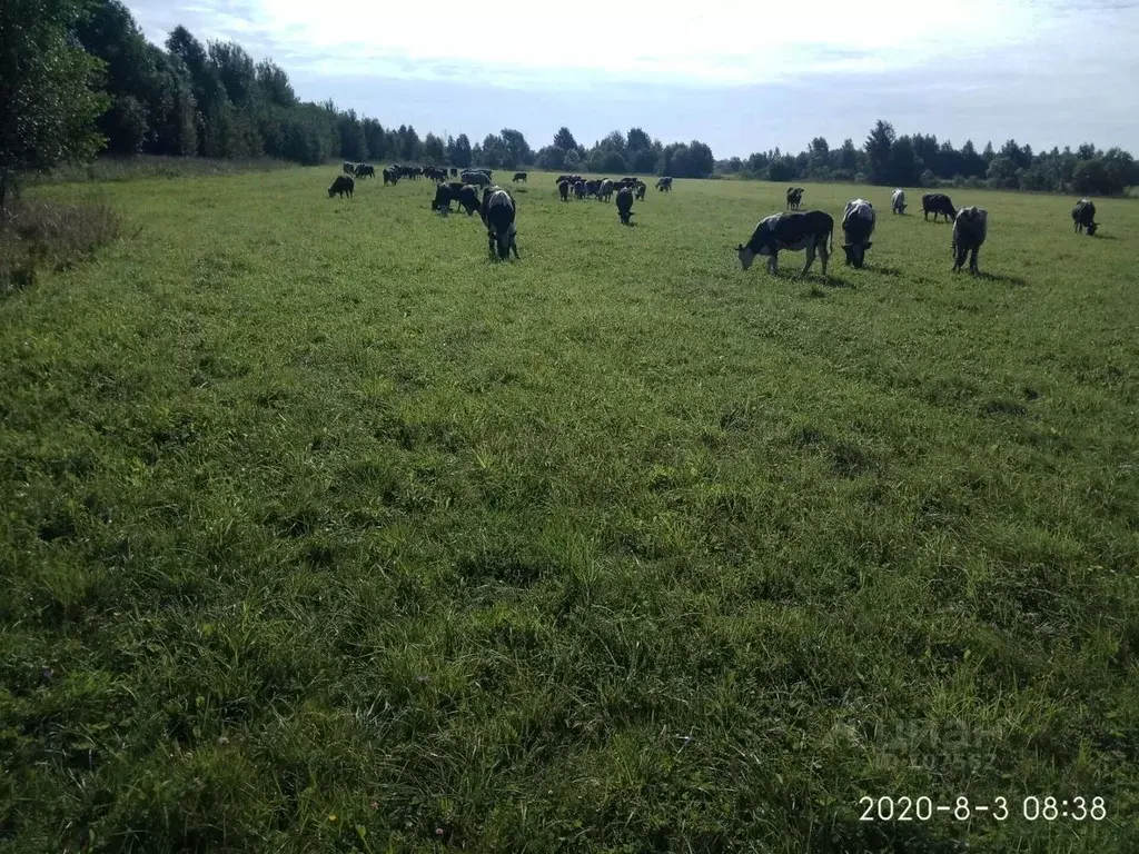 Участок в Московская область, Талдомский городской округ, д. Юркино  ... - Фото 0