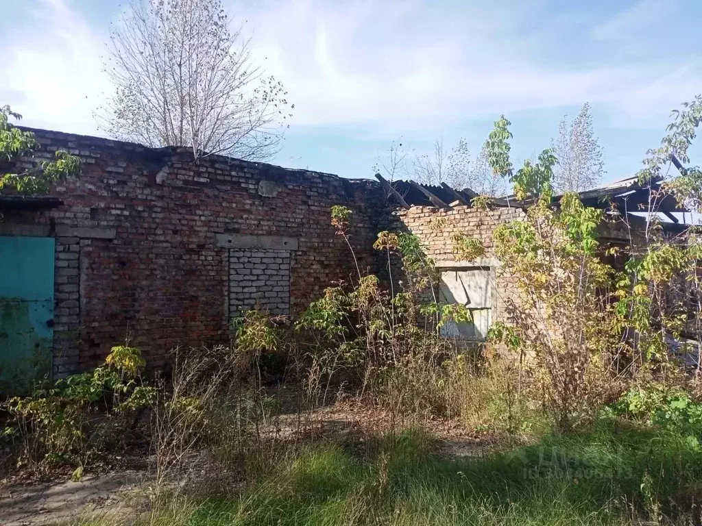 Склад в Липецкая область, Елец Рязано-Уральская ул., 7 (265 м) - Фото 1