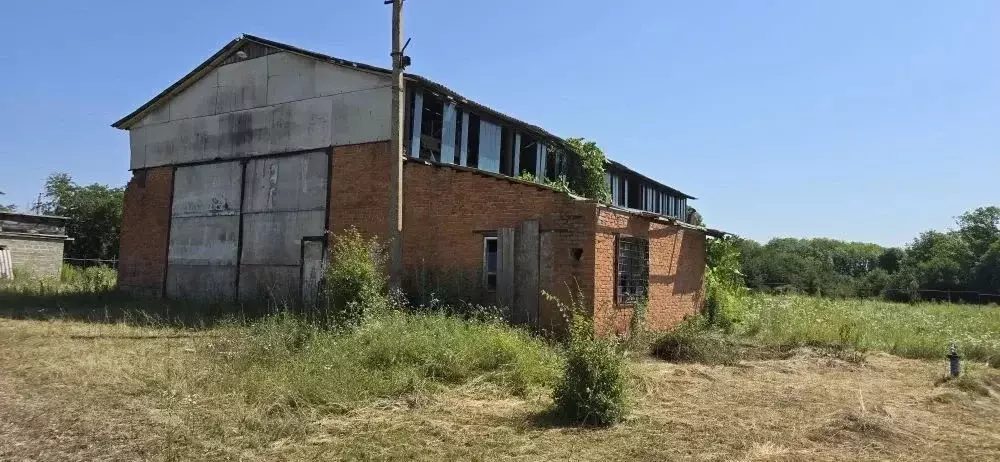 Производственное помещение в Краснодарский край, Белореченский район, ... - Фото 1