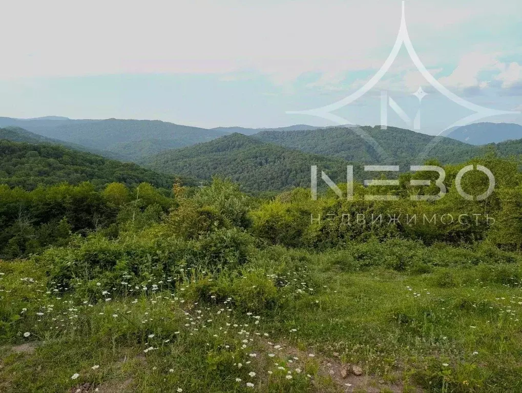 Участок в Краснодарский край, Сочи городской округ, с. Красная Воля ... - Фото 2