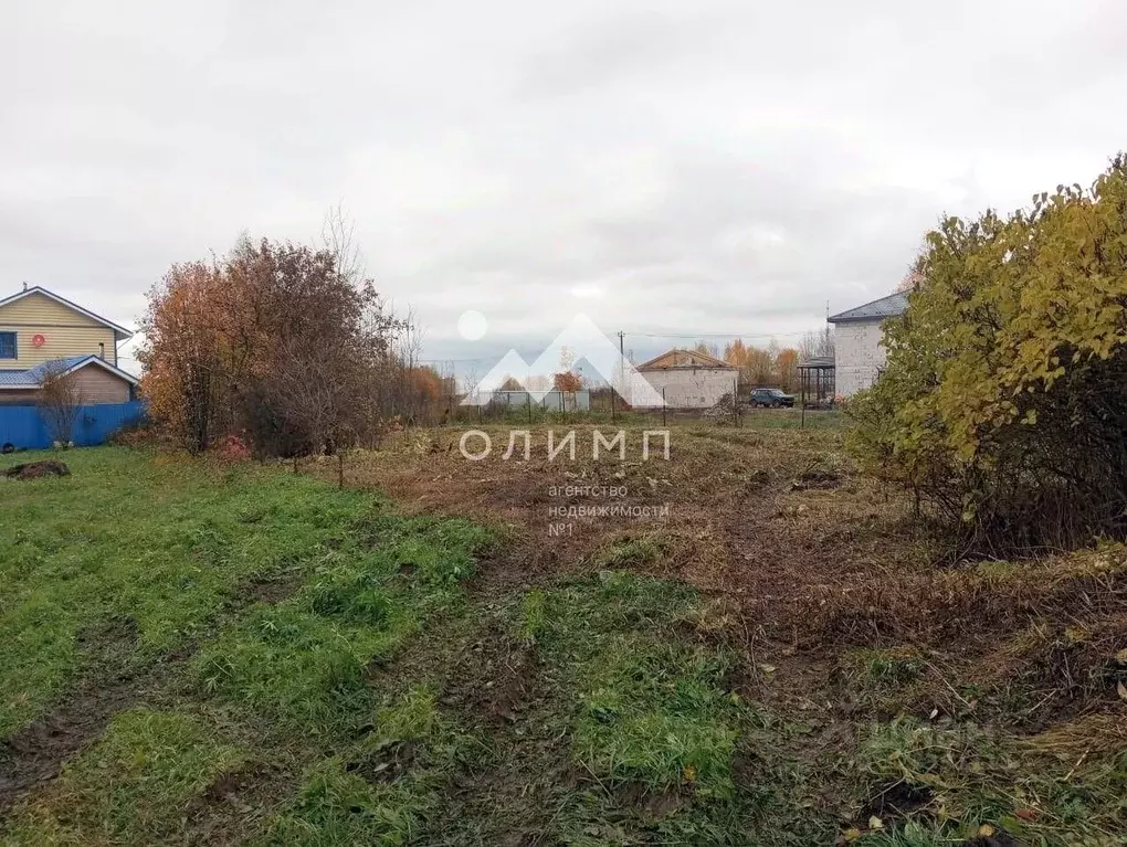 Участок в Вологодская область, д. Маурино (Подлесный сельсовет)  (6.3 ... - Фото 2