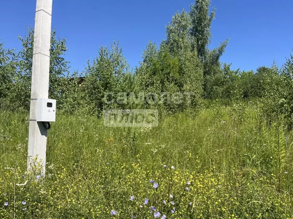 Участок в Нижегородская область, с. Безводное  (5.4 сот.) - Фото 1