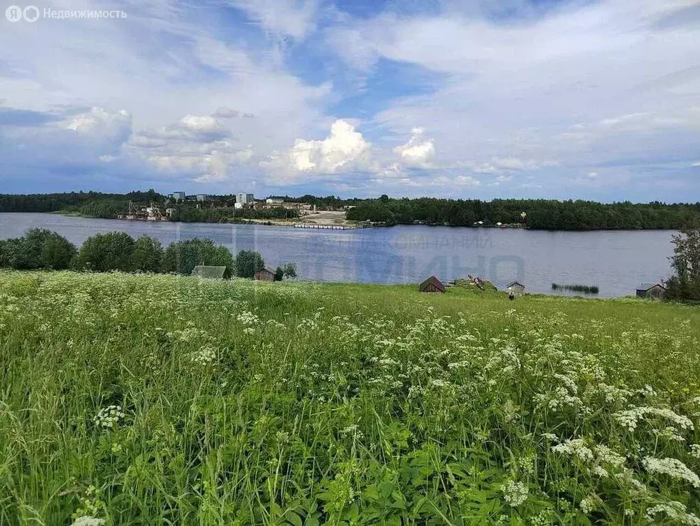 Участок в Вологодская область, Кирилловский муниципальный округ, ... - Фото 0