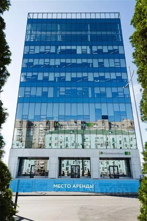 Торговая площадь в Воронежская область, Воронеж Красноармейский пер., ... - Фото 2