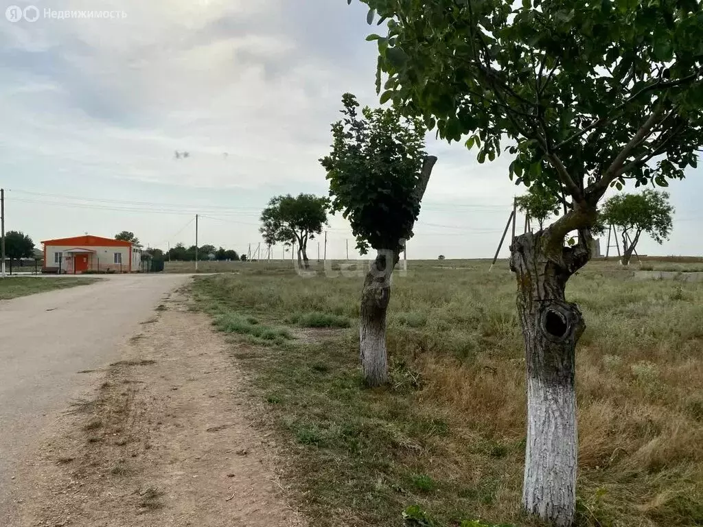 Участок в Сакский район, Столбовское сельское поселение, село Лушино, ... - Фото 0