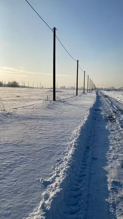 Участок в Новосибирская область, Новосибирский район, Каменский ... - Фото 2