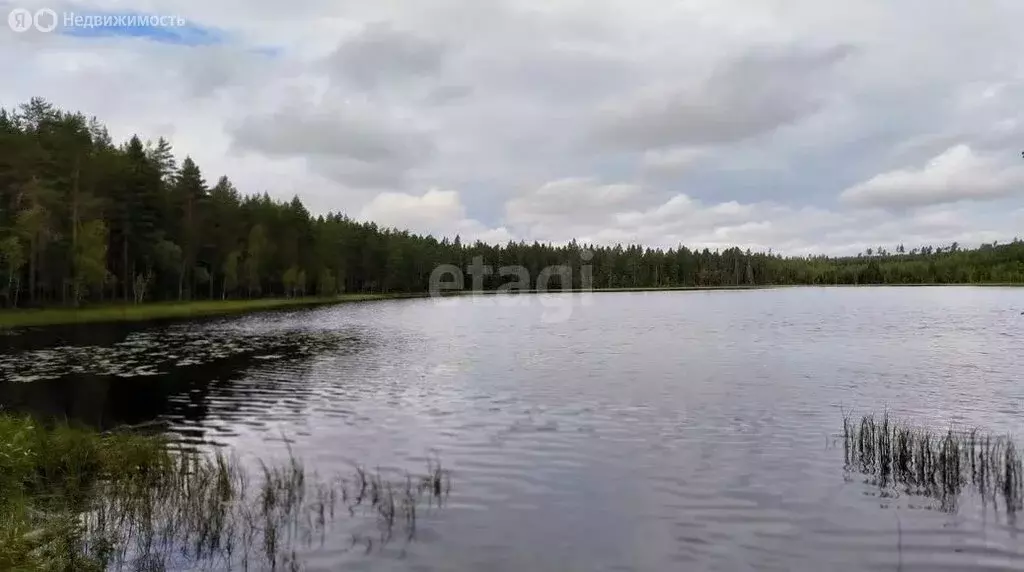 Дом в деревня Усад, Центральная улица (95 м) - Фото 1