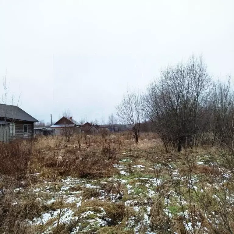 Участок в Костромская область, Шарьинский район, Зебляковское с/пос, ... - Фото 1