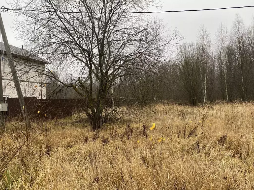 Участок в Московская область, Луховицы  (11.91 сот.) - Фото 1