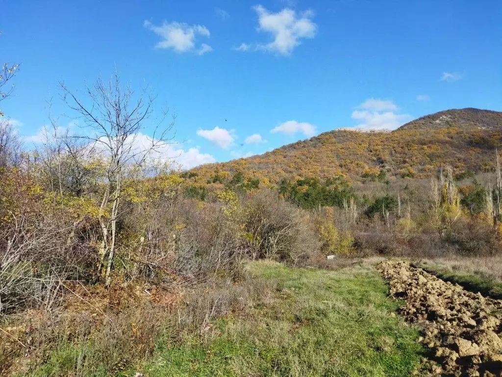 Участок в Крым, Судак муниципальный округ, с. Лесное ул. Вишневая ... - Фото 1