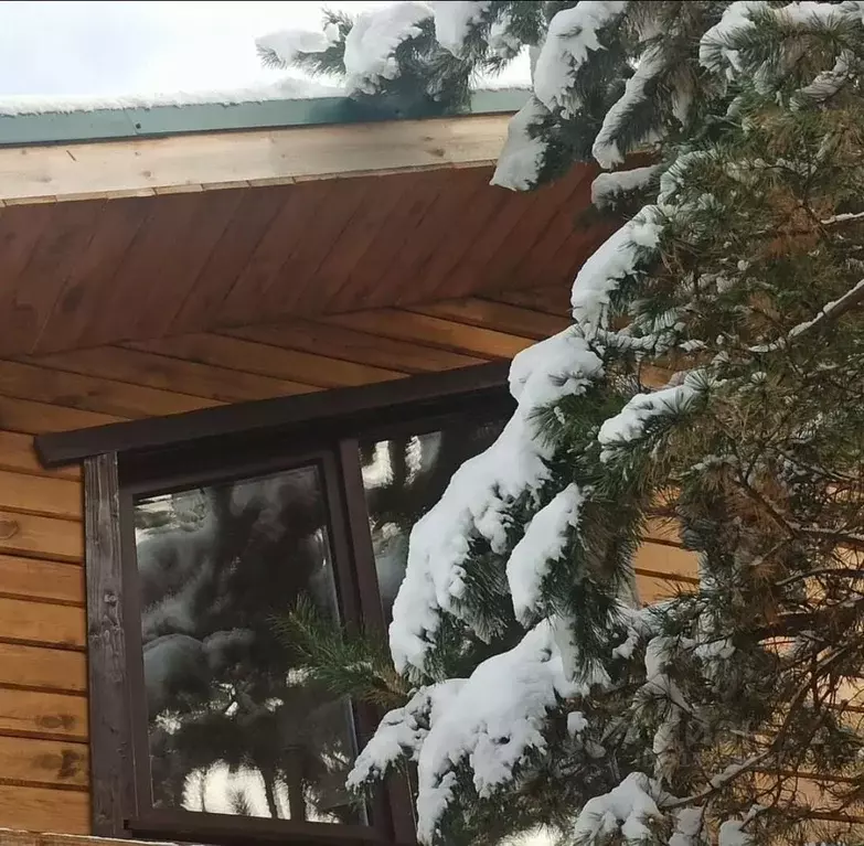 Дом в Алтай, Чемальский район, Элекмонарское с/пос  (112 м) - Фото 2