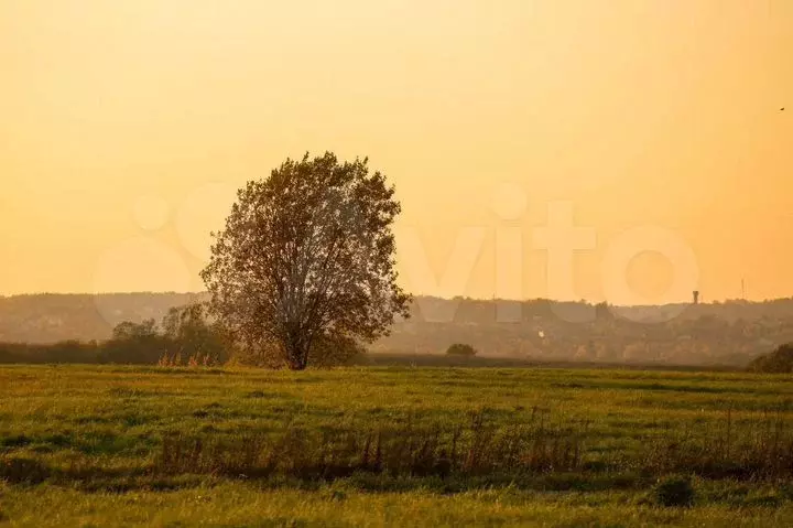 Участок 12сот. (СНТ, ДНП) - Фото 0