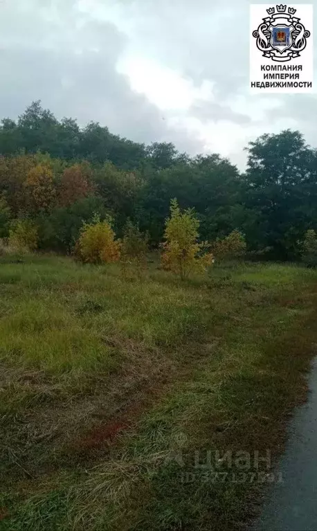 Участок в Белгородская область, Белгородский район, пос. Майский ул. ... - Фото 2