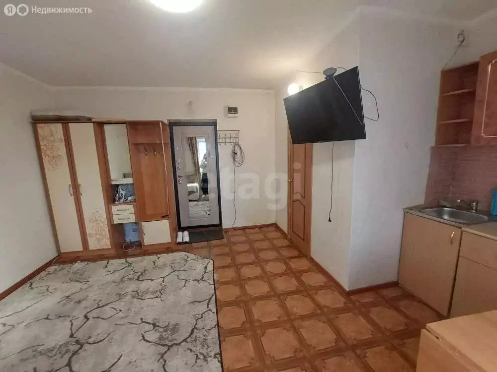 1-комнатная квартира: Благовещенск, Серышевский переулок, 16 (20.9 м) - Фото 2