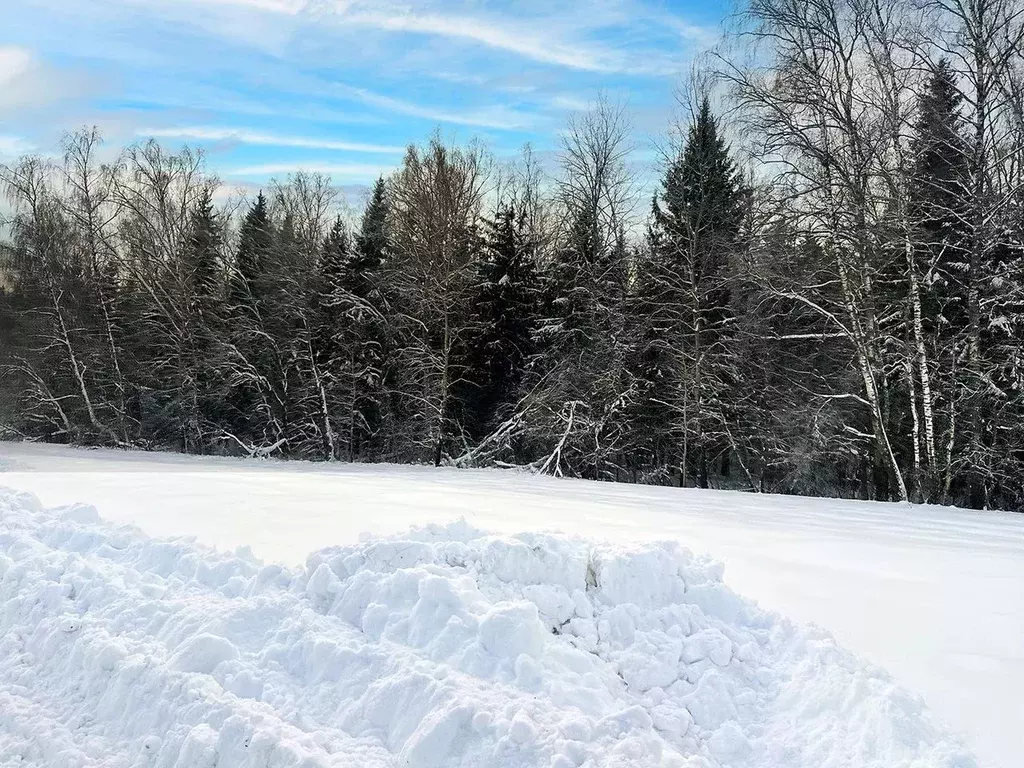 Участок в Московская область, Подольск городской округ, Пузиково кп 81 ... - Фото 2