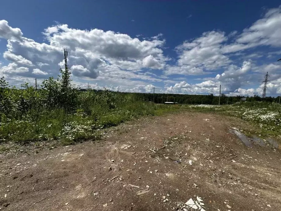 Участок в Пермский край, Березники ул. Клубничная (10.0 сот.) - Фото 0