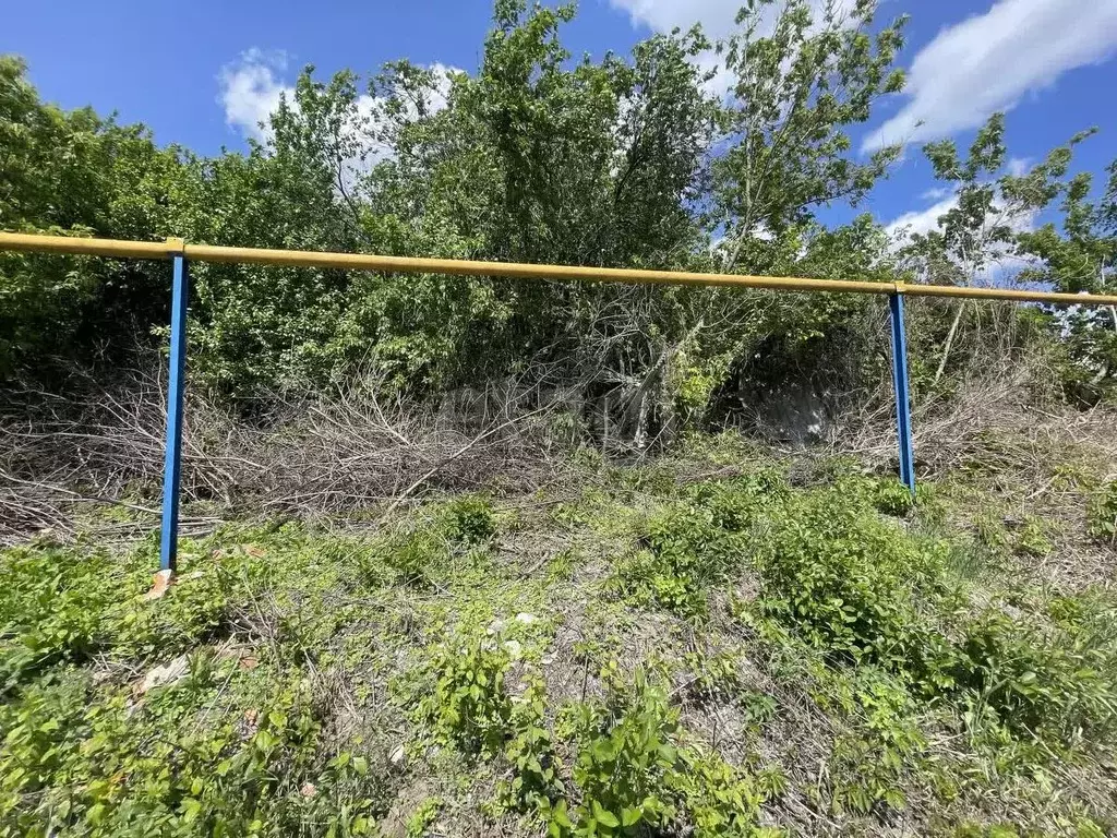 Участок в Белгородская область, Белгородский район, Дубовское с/пос, ... - Фото 1