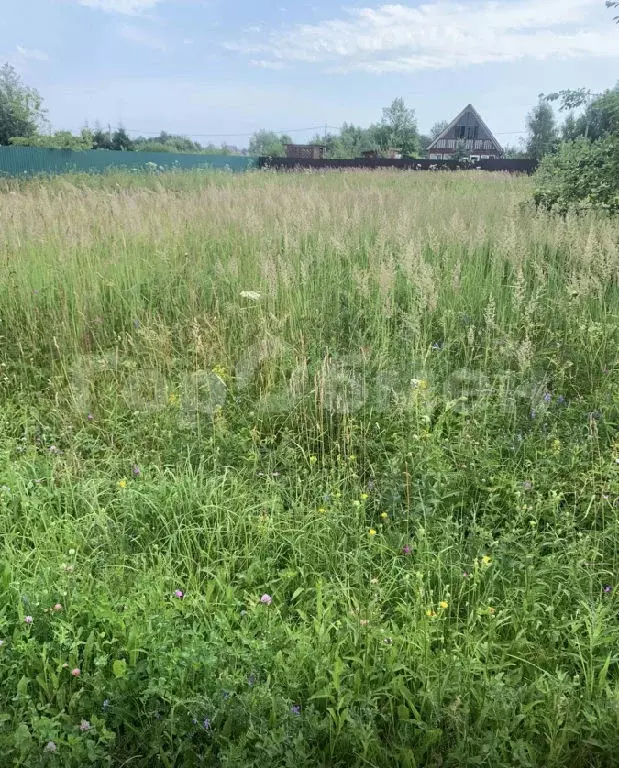 Продается участок в д. Титово - Фото 0