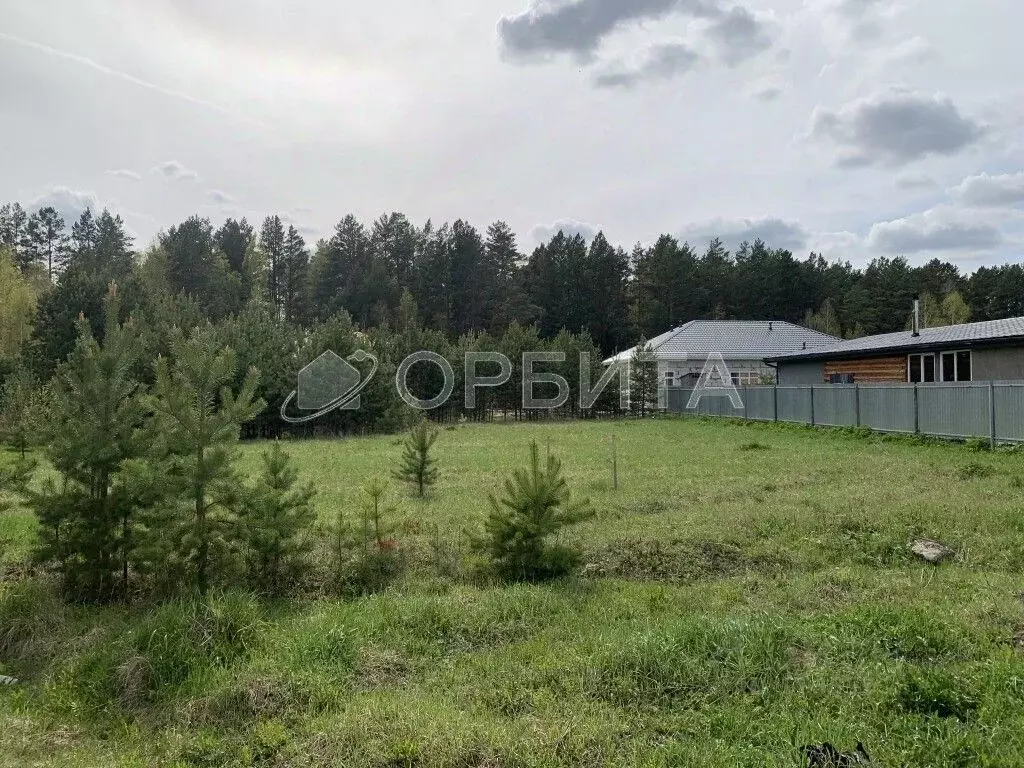 Участок в Тюменская область, Тюменский район, с. Гусево ул. ... - Фото 1