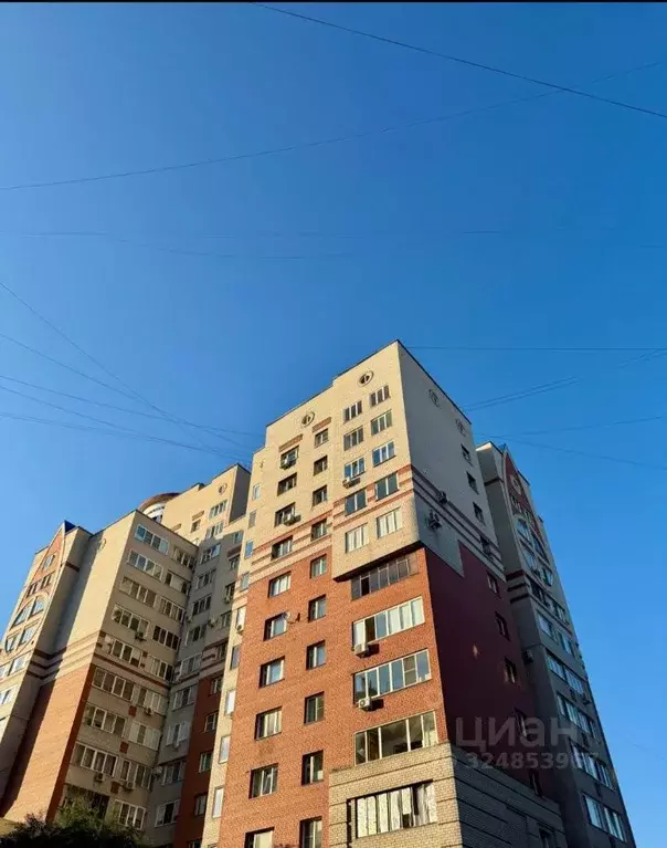 1-к кв. Алтайский край, Барнаул Молодежная ул., 41 (48.0 м) - Фото 2