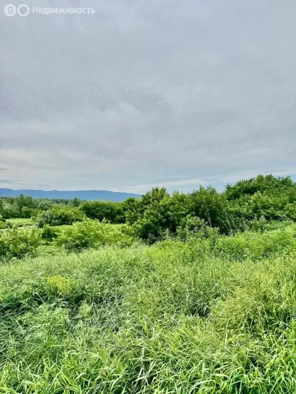 Участок в село Сычёвка, Заречная улица (25 м) - Фото 1