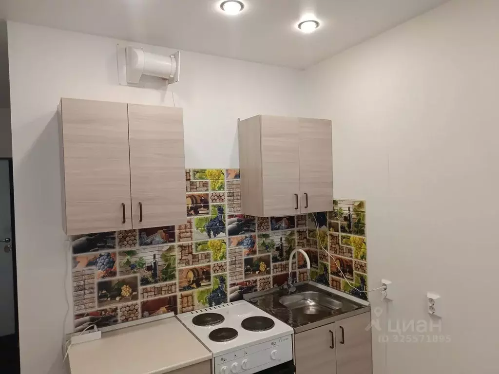 Студия Новосибирская область, Новосибирск ул. Забалуева, 90 (22.0 м) - Фото 1