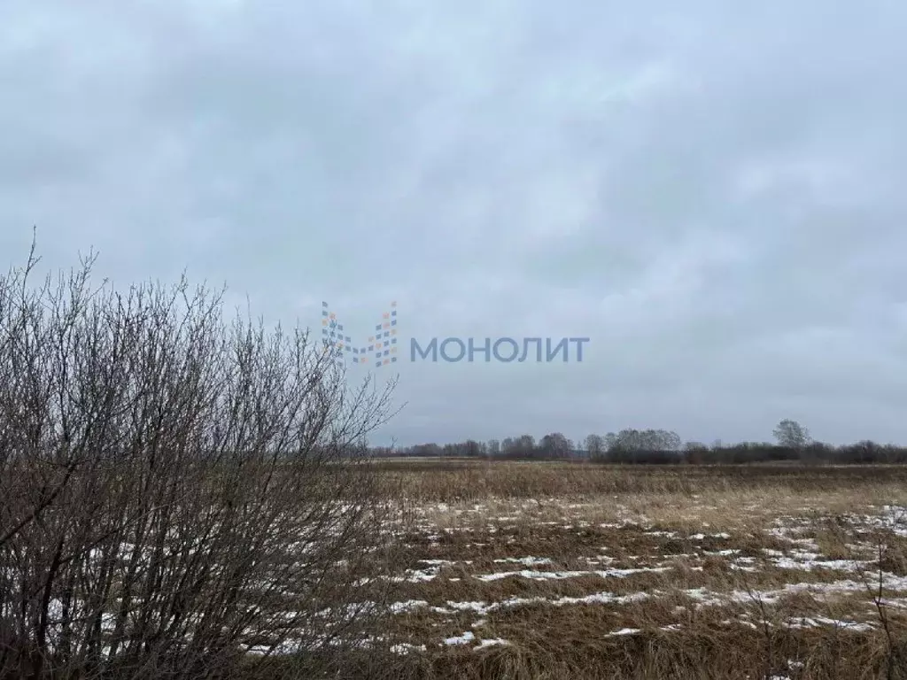 Участок в Нижегородская область, Дальнеконстантиновский муниципальный ... - Фото 0