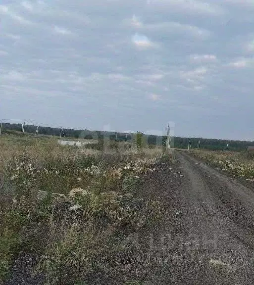 Участок в Челябинская область, Аргаяшский муниципальный округ, д. ... - Фото 1