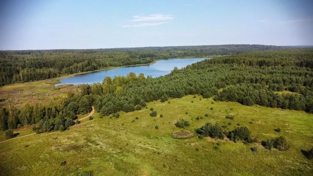 Участок в Новгородская область, Валдайский муниципальный район, ... - Фото 1