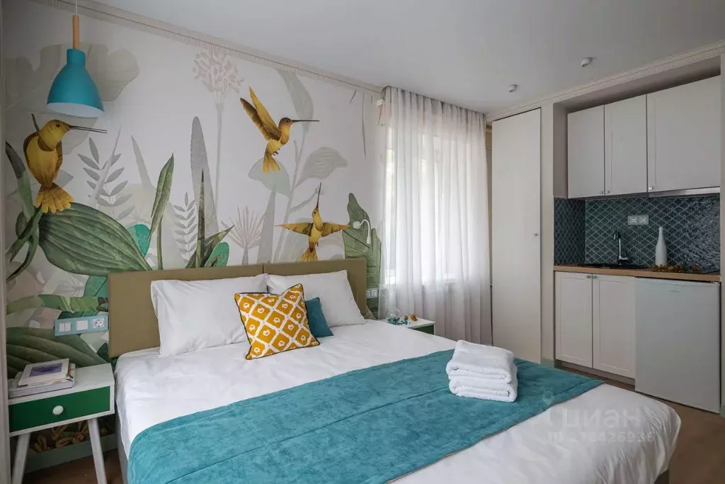 Студия Владимирская область, Александров ул. Перфильева, 1А (16.0 м) - Фото 1