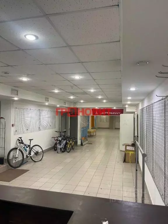 Помещение свободного назначения в Новосибирская область, Новосибирск ... - Фото 0