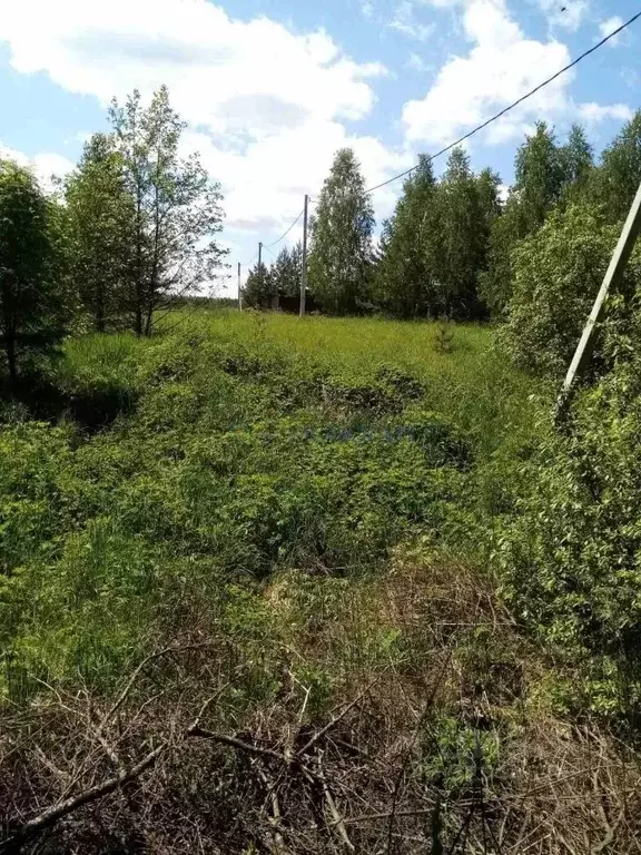 Участок в Нижегородская область, Дальнеконстантиновский муниципальный ... - Фото 1