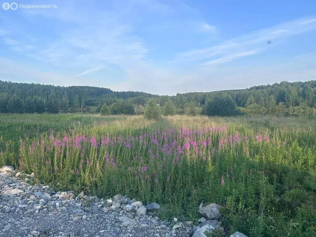 Участок в Шабровский, улица Ленина (7 м) - Фото 0