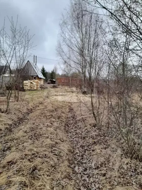 Участок в Вологодская область, Анциферово садоводческое товарищество  ... - Фото 1