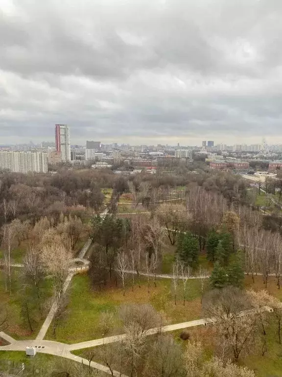 1-к кв. Москва ул. 1-я Леонова, 18 (27.0 м) - Фото 1