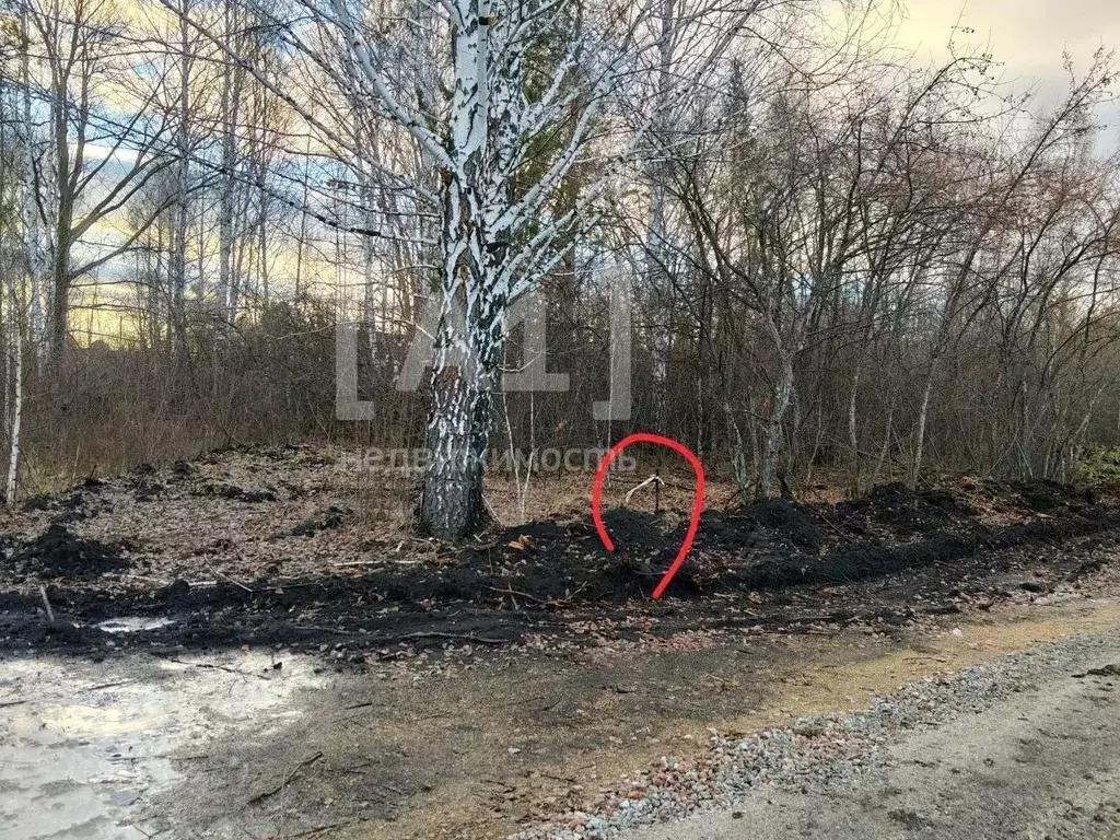 Участок в Челябинская область, Сосновский муниципальный округ, д. ... - Фото 2