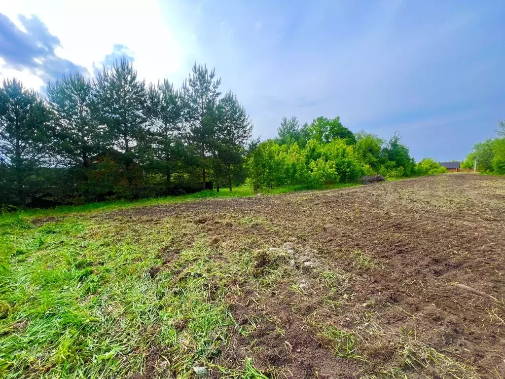 Участок в Московская область, Кашира городской округ, д. Клубня ул. ... - Фото 2