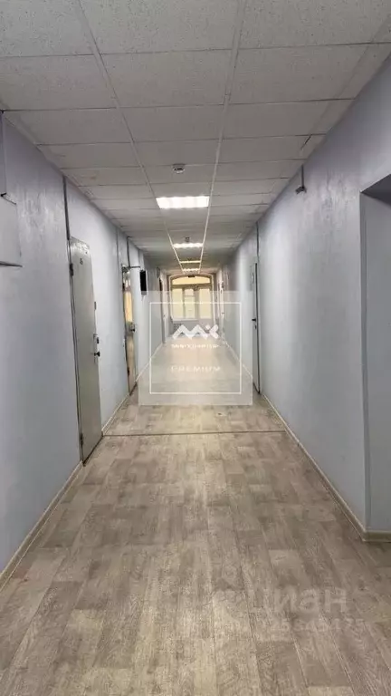 Офис в Санкт-Петербург Суворовский просп., 65Б (138 м) - Фото 1